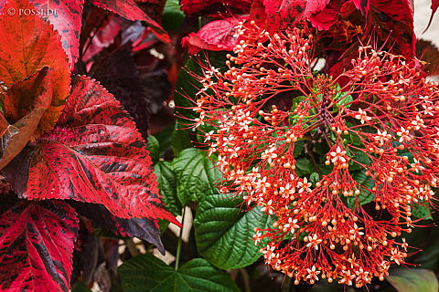 190905-131139-5754.jpg