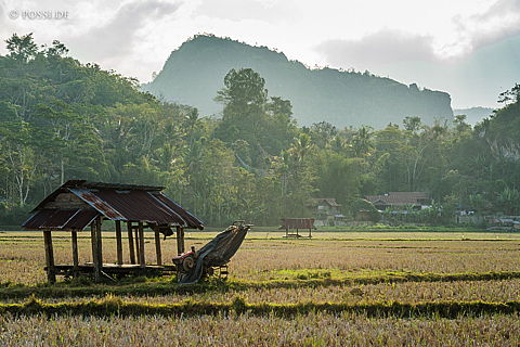 190905-164745-5919.jpg