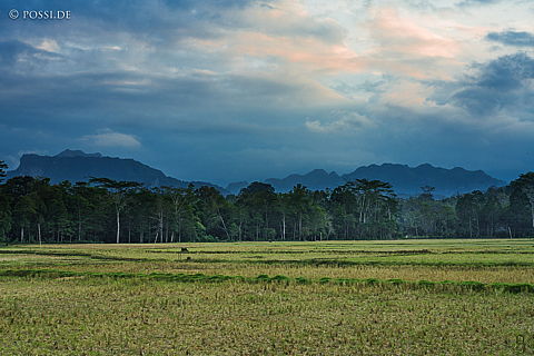 190905-172733-5969.jpg