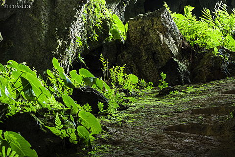 190907-103721-6156.jpg