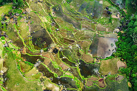 190907-210235-0398.jpg