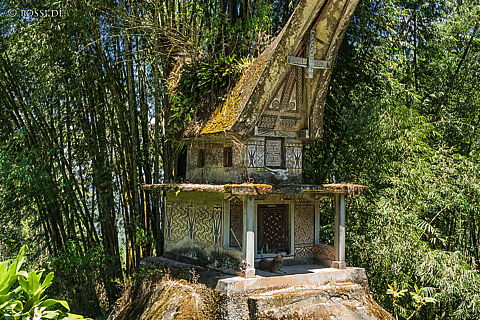 190908-123629-6650.jpg