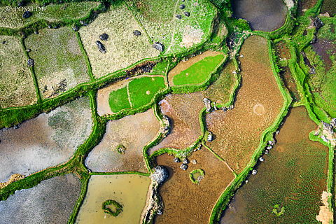 190908-200400-0578.jpg
