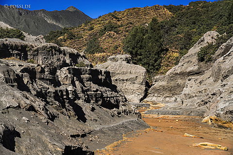 190910-085501-7204.jpg