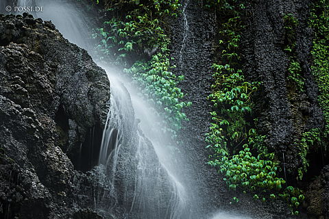 190912-111800-7547.jpg