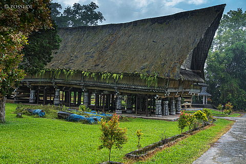 190917-142931-0055.jpg