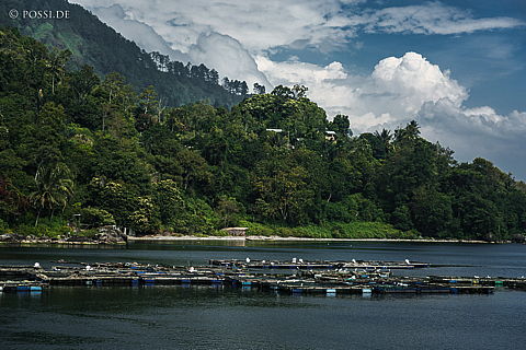 190917-160304-0062.jpg