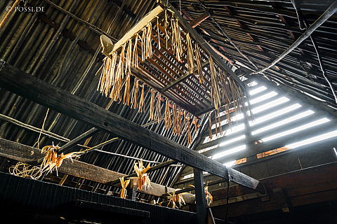 190918-102810-0089.jpg