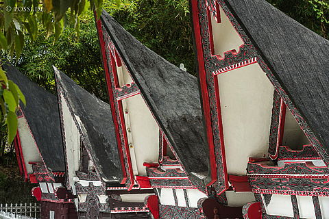 190918-112804-0126.jpg
