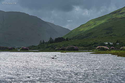 220609-0224.jpg