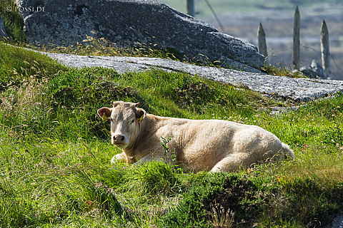 220610-0247.jpg
