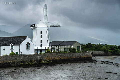 220611-0289.jpg
