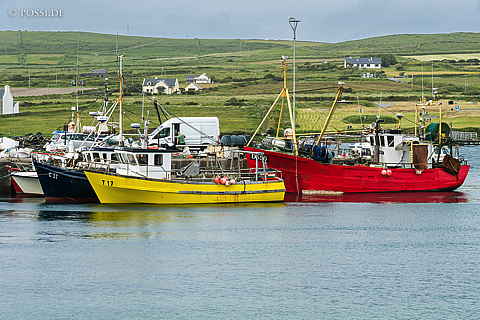 220611-0297.jpg