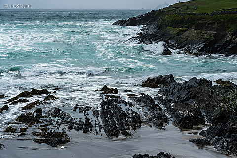 220611-0301.jpg