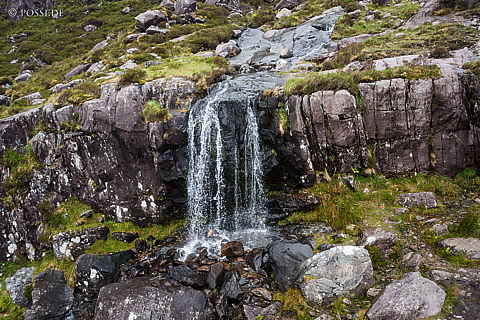 220611-0457.jpg
