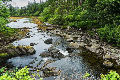 220612-0326.jpg