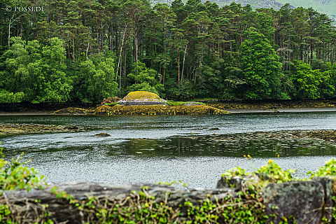 220612-0329.jpg