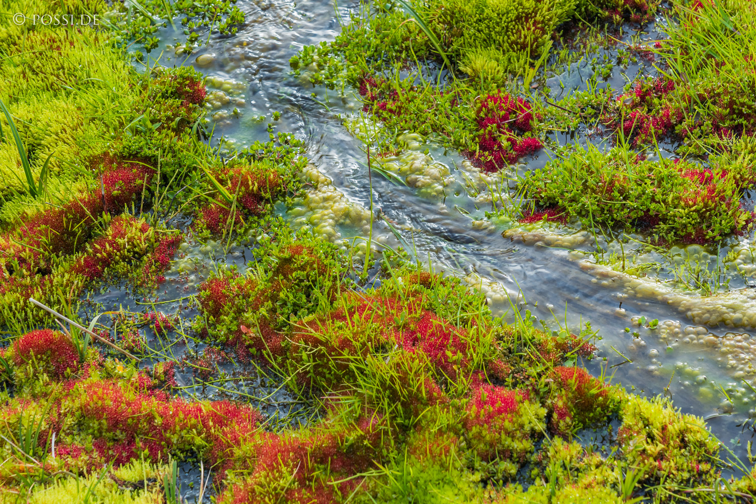 210616-200115-0980.jpg