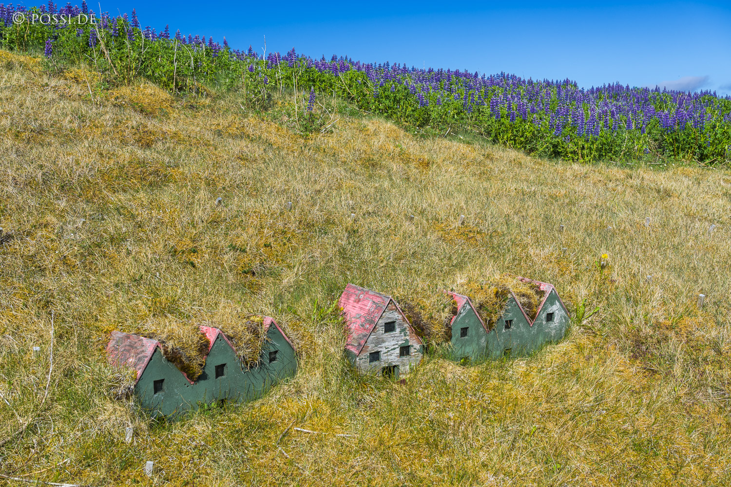 210623-100125-3716.jpg