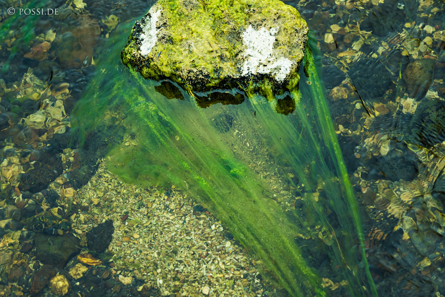 210624-172847-3992.jpg