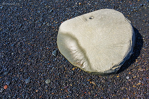 210618-150252-1442.jpg