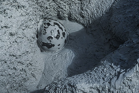 210620-124202-1735.jpg