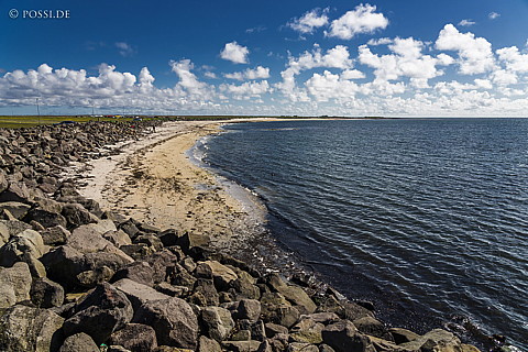 210620-162642-1914.jpg