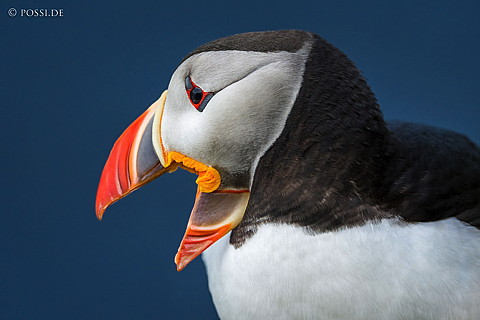 210622-203800-3399.jpg