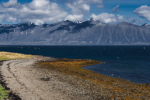 210623-115603-3754.jpg
