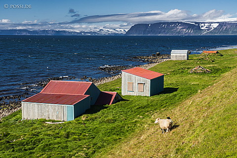 210623-175033-3847.jpg