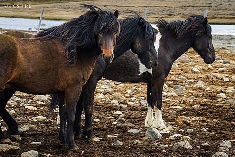 210624-164559-3953.jpg