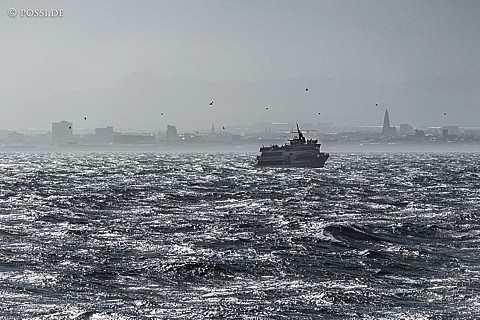 210626-094608-4065.jpg