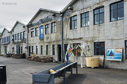210628-153846-4458.jpg
