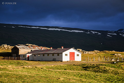 130820-1168.jpg