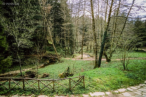 071220-0146.jpg