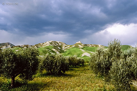 071220-0147.jpg