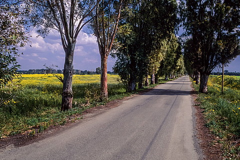 080204-0160.jpg
