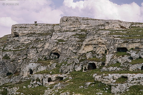 080204-0166.jpg