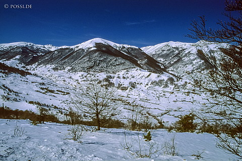 080205-0222.jpg