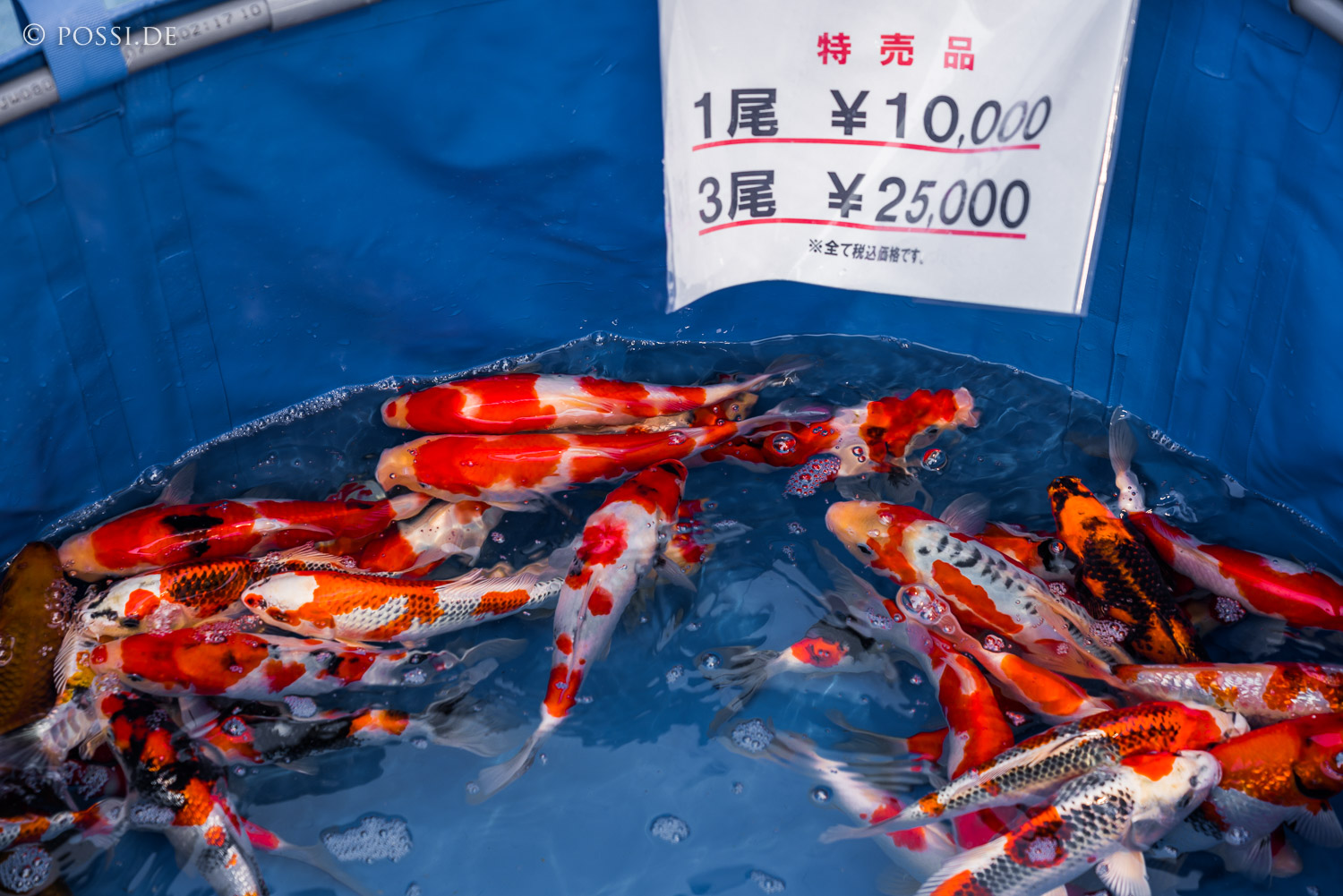 180503-1404.jpg