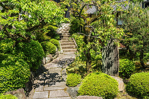 180428-0630.jpg