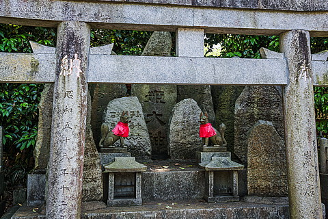 180428-0639.jpg