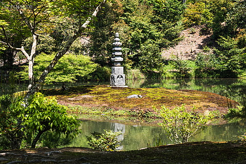 180429-0976.jpg