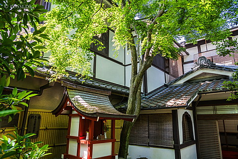 180429-0984.jpg