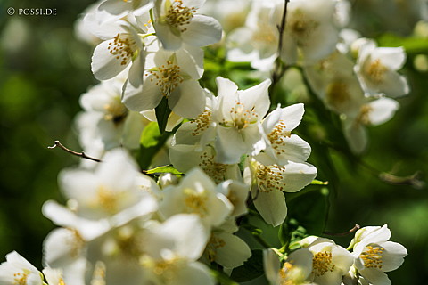 180429-0985.jpg