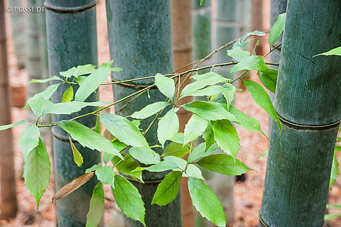 180430-1021.jpg