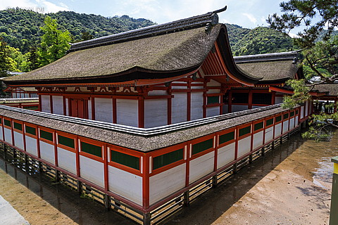 180503-1338.jpg