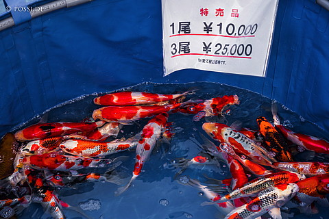 180503-1404.jpg