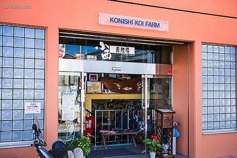 180503-1475.jpg