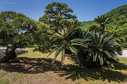 180505-1491.jpg